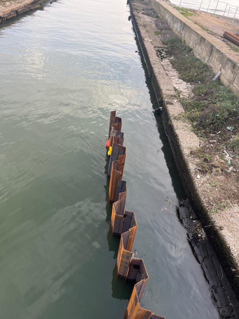 PHOTO-2026-02-11-12-47-02_3