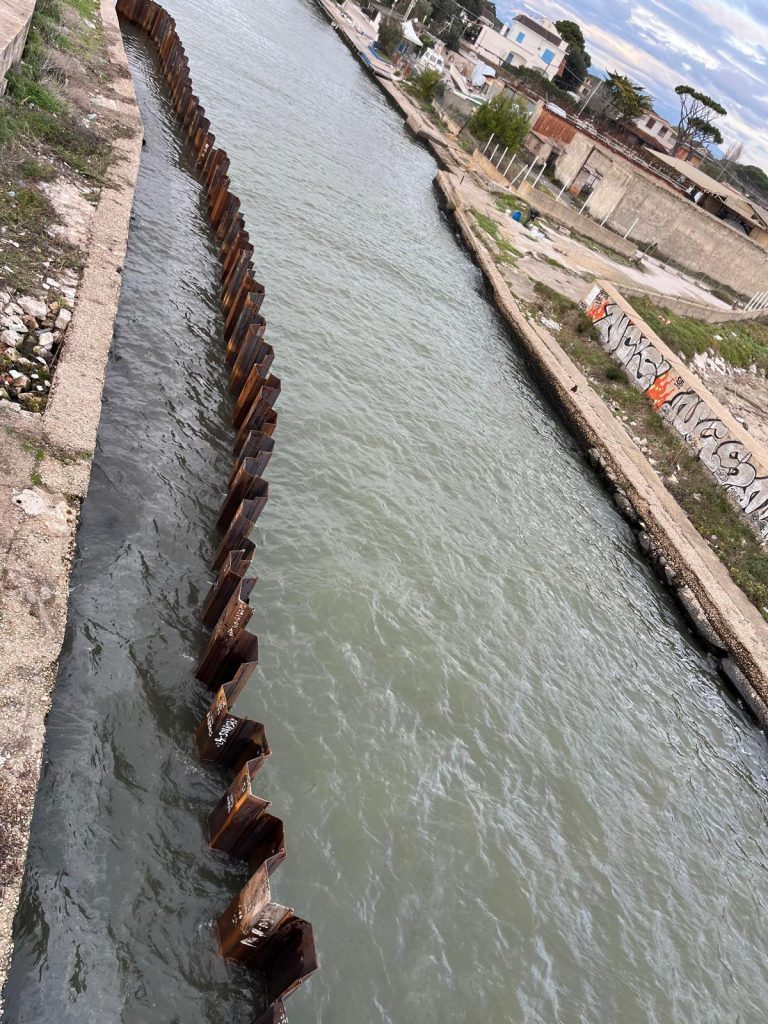 PHOTO-2026-02-11-12-47-02_5